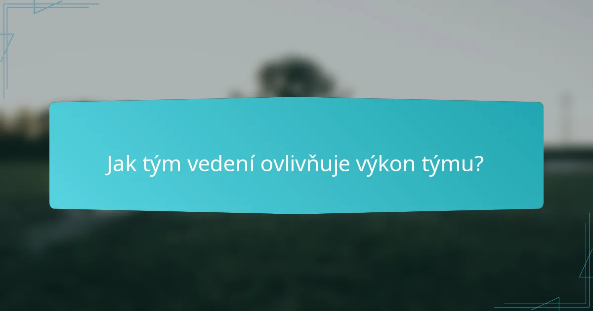 Jak tým vedení ovlivňuje výkon týmu?