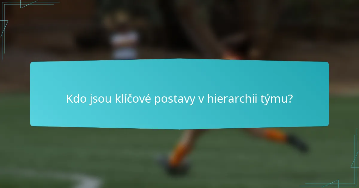 Kdo jsou klíčové postavy v hierarchii týmu?